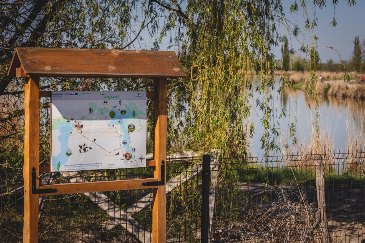 ホテル Navigator Palić エクステリア 写真